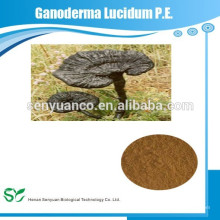 Suministro directo del fabricante natural Ganoderma Lucidum pe